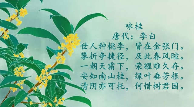 桂花诗句最出名的古诗图片